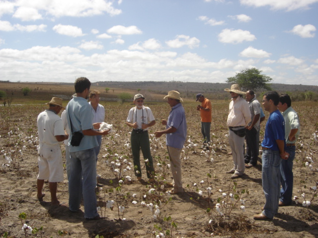 Agricultor Conversando com Tecnicos.JPG